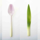 Image for article titled Biodegradable Cutlery Looks Like the Vegetables You'll Eat WIth It